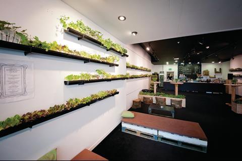 Asparagus Patch, Liverpool One